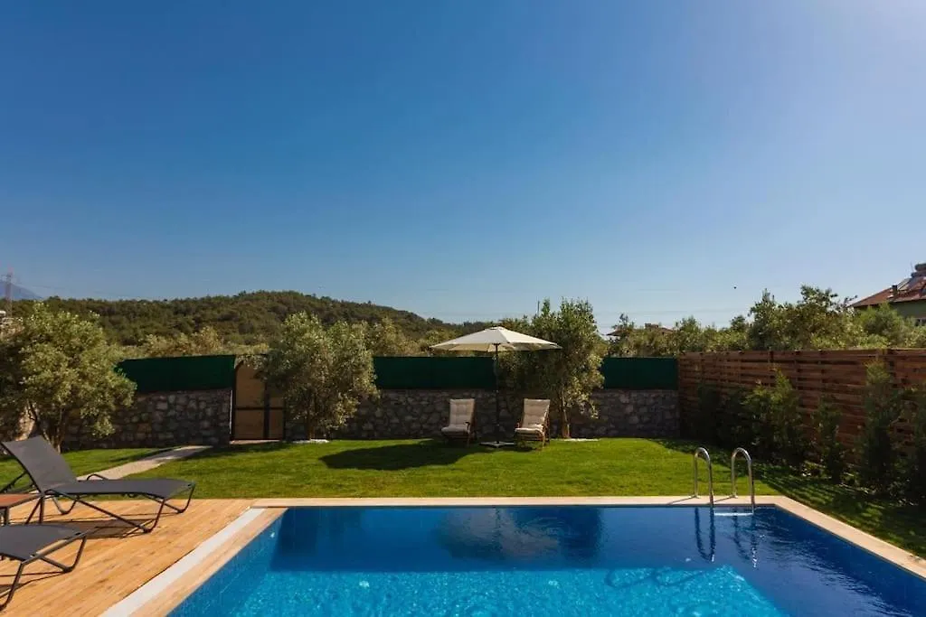 Villa Zeytin Havuzlu Jakuzili Fethiye 0*,  Turkey