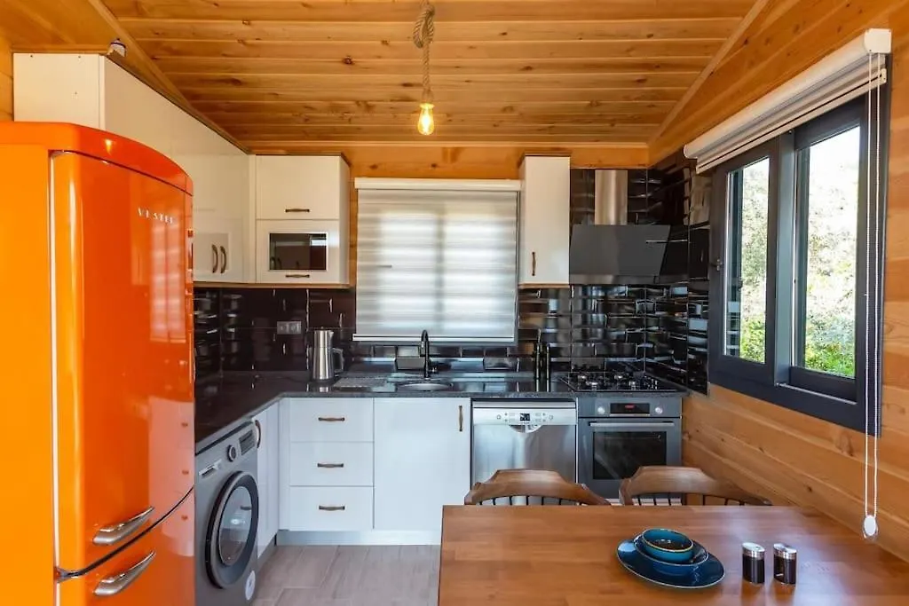 Villa Zeytin Havuzlu Jakuzili Fethiye