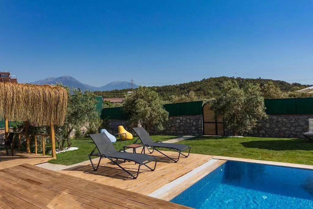Villa Zeytin Havuzlu Jakuzili Fethiye 0*,